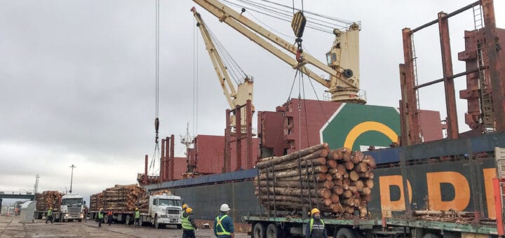 alt="los puertos entrerrianos continúan en plena actividad"