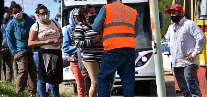 alt="controles sobre trabajadores del arándano"