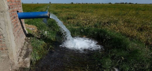 alt="riego mediante bombas eléctricas"