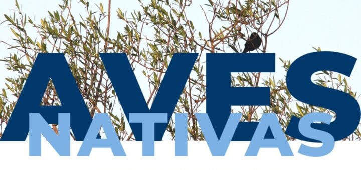 alt="anuncio de la charla de avistaje de aves"