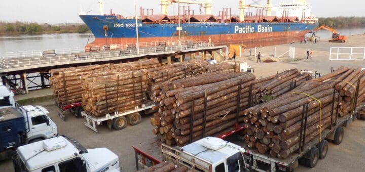 alt="Los puertos generaron 815 millones de pesos y más de 1500 puestos de trabajo"