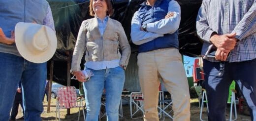 alt="Patricia Bullrich junto a los hermanos Etchevehere"