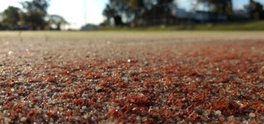 alt="cancha de hockey"