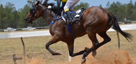 alt="carrera de caballos"