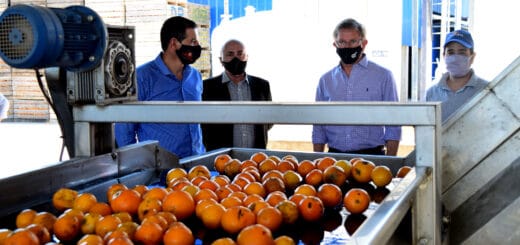 alt="fábrica de jugos de villa del rosario"