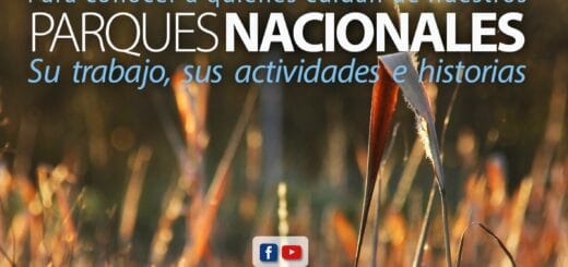 alt="afiche del encuentro virtual"