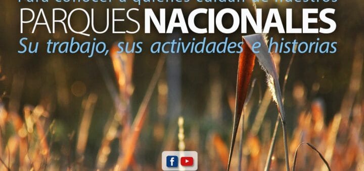 alt="afiche del encuentro virtual"