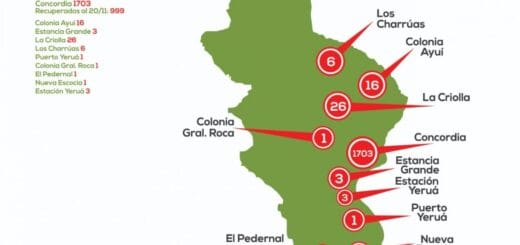 alt="Detalle de casos de coronavirus en el Departamento Concordia"