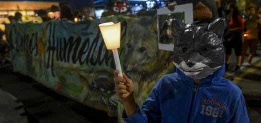 alt="Unas mil personas realizaron una "caravana de antorchas" por las calles céntricas de Rosario"