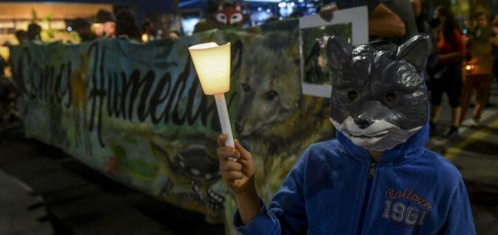 alt="Unas mil personas realizaron una "caravana de antorchas" por las calles céntricas de Rosario"