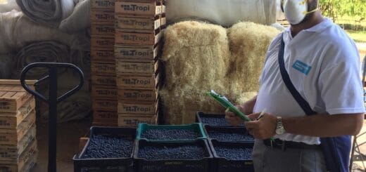 alt="El operativo contó con la participación del RENATRE y trabajó en conjunto con la Dirección Provincial de Planificación, Seguimiento y Control"