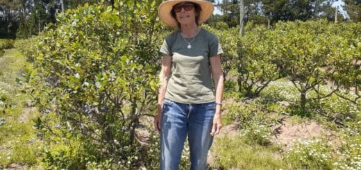 alt="Graciela Taylor llegó hace veinte años, con su marido Mike, a La Criolla, donde iniciaron un emprendimiento citrícola"