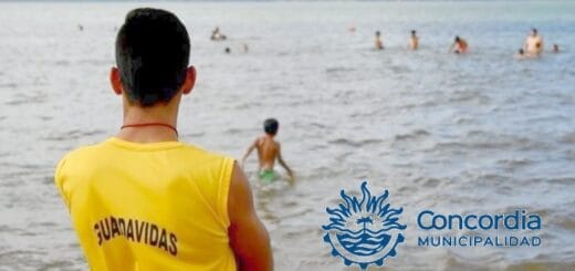 alt="llamarán para la Reválida anual y admisión municipal de guardavidas"