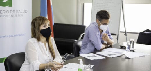 alt="La ministra de salud, Sonia Velázquez participó de una reunión vía zoom junto al director de Epidemiología, Diego Garcilazo y representantes de la ciudad de Concordia, en la que se decidió definir la situación sanitaria de la localidad como transmisión comunitaria sostenida por Covid"
