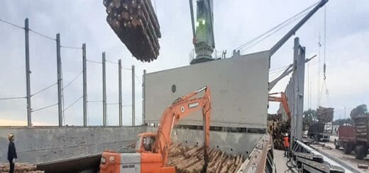 alt="carga de madera en la bodega de un barco"