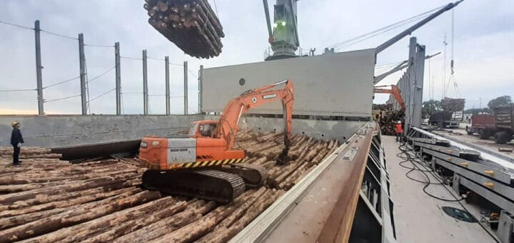 alt="bodega de un barco repleta de troncos de pino"