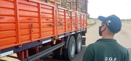 alt="control en camión con frutas"