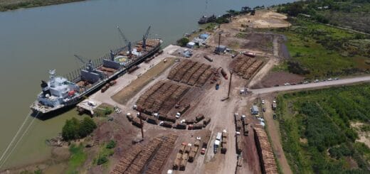alt="puerto de Ibicuy con un barco en el muelle y estibas de troncos"
