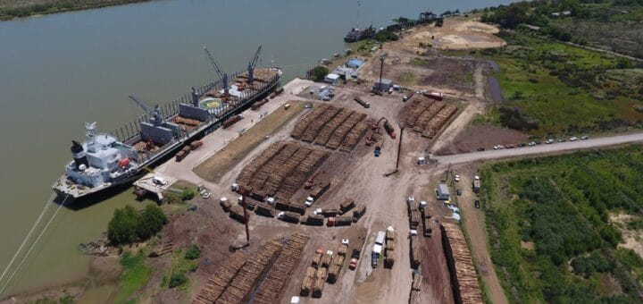 alt="puerto de Ibicuy con un barco en el muelle y estibas de troncos"