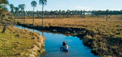 alt="navegando en piragüa por una arroyo en el parque nacional el palmar"