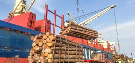 alt="carga de madera desde camiones a un barco"