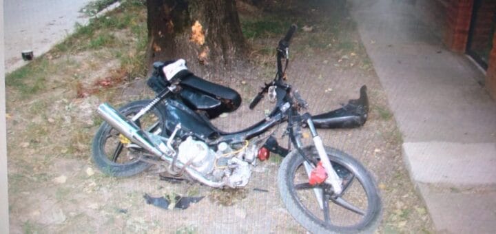 alt="moto motomel 110 destrozada tras chocar contra un árbol"