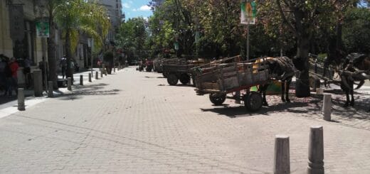 alt="carros tirados por caballos estacionados en la peatonal del bicentenario de Concordia"