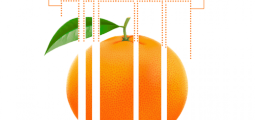 alt="ilustración que explica la composición porcentual del precio de la naranja"