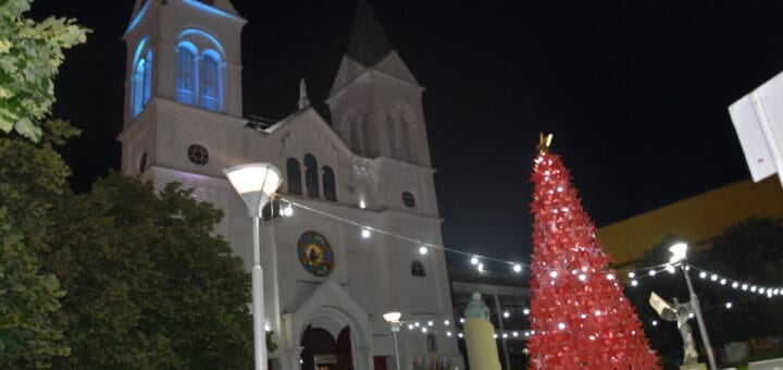 alt="árbol de navidad frente a la catedral de concordia"