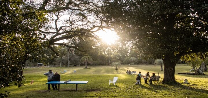 alt="turistas disfrutando de la naturaleza en un parque"