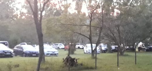 alt="foto de autos estacionados detrás de unos árboles"