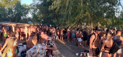 alt="decenas de participantes en una fiesta clandestina en islas del Delta"
