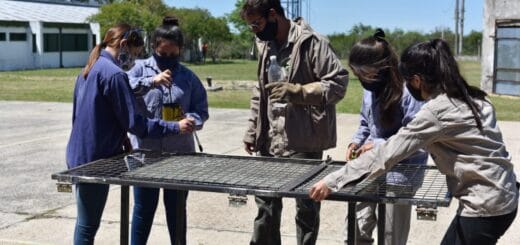 alt="cuatro alumnas realizan una reja ante la mirada del profesor"