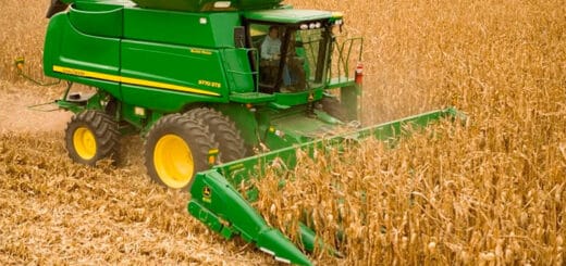 alt="máquina trilladora en un campo de maíz"