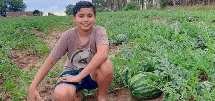 alt="un niño en medio de una plantación de sandías"