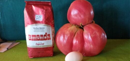 alt="un tomate, un paquete de yerba y un huevo"