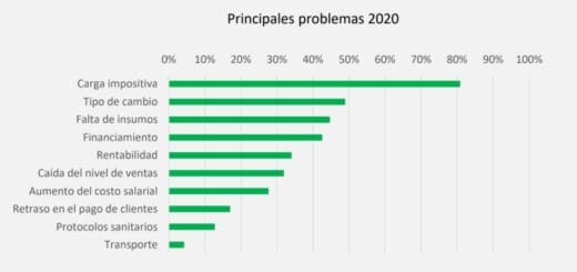 alt="cuadro con gráfico sobre principales problemas para la industria entrerriana en 2020"