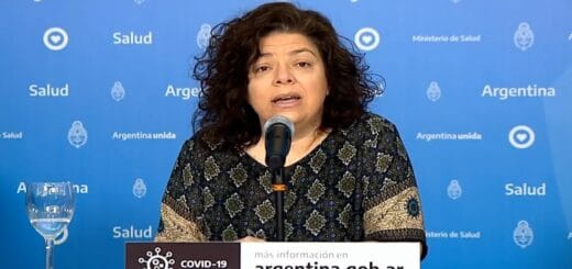 alt="carla vizzotti"