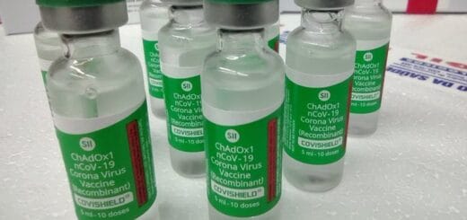 alt="en la imagen, varias dosis de la vacuna Covishield"