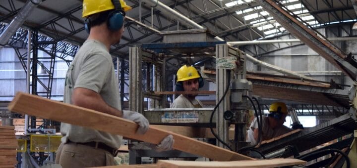 alt="obreros trabajando en un aserradero"