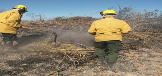 alt="dos bomberos tratan de apagar un incendio de pastizales"