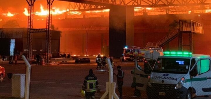 alt="llamas en el autódromo de Termas del Río Hondo"