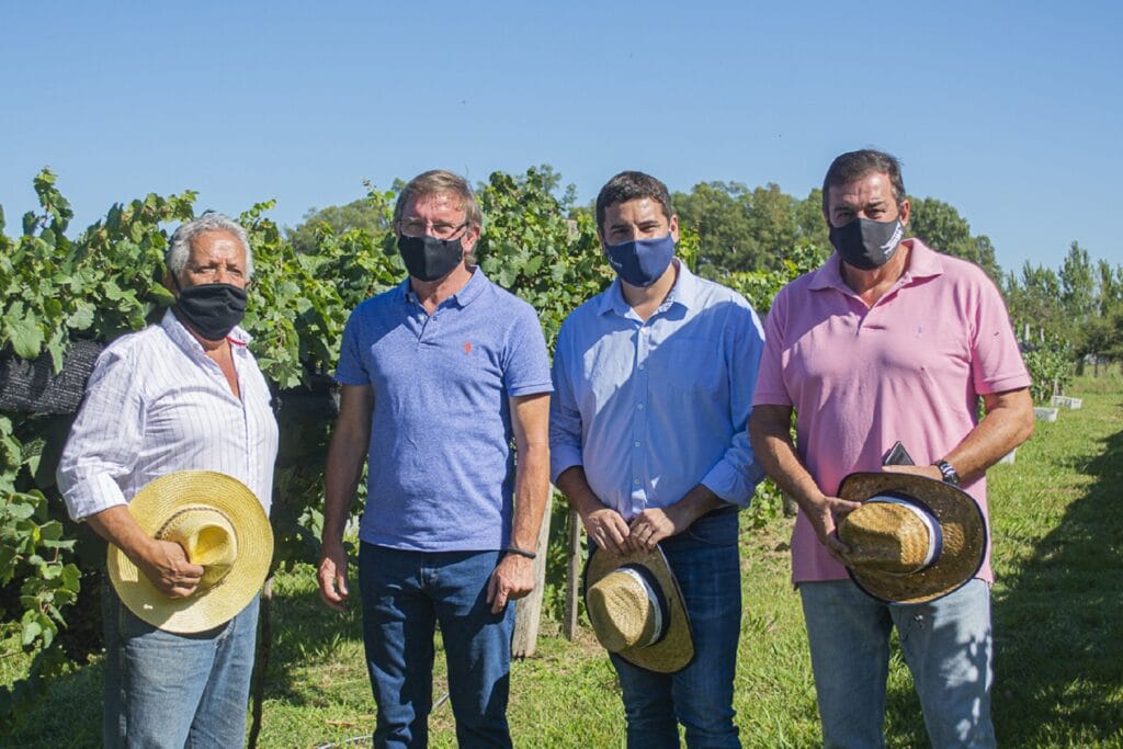 alt="cuatro hombres en un viñedo"