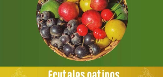 alt="tapa del libro frutales nativos"
