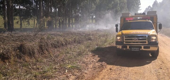 alt="en la fotografía puede verse una autobomba, una hilera de árboles y humo"