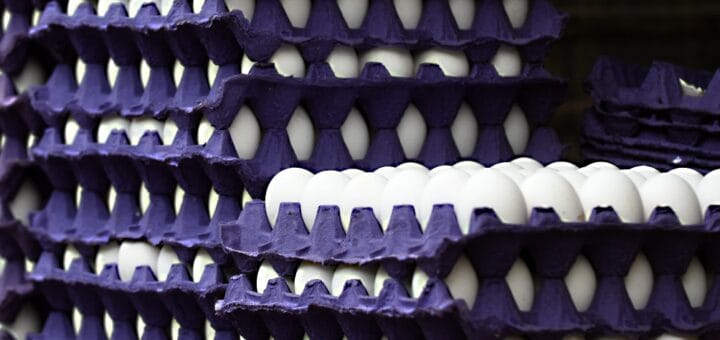 alt="en la imagen pueden verse varios recipientes de cartón corrugado conteniendo huevos"