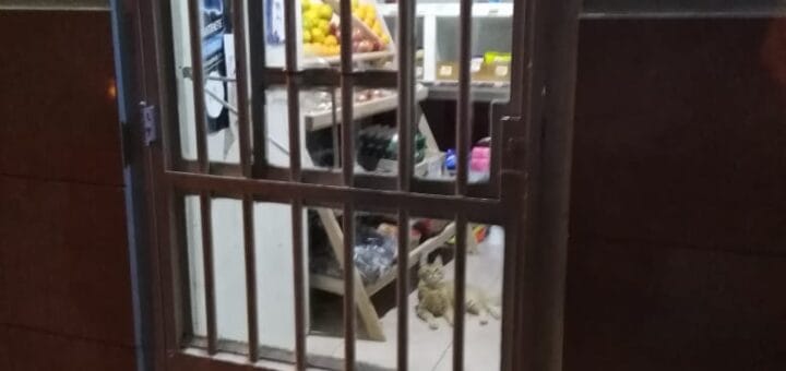 alt="en la imagen, sobre la puerta de un comercio puede verse una faja de clausura"