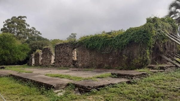 alt="en la imagen, ruinas en el palmar"