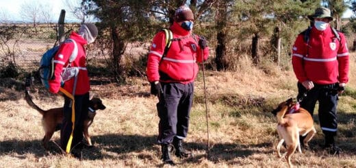 alt="en la imagen puede verse a bomberos voluntarios con perros adiestrados en una zona rural"