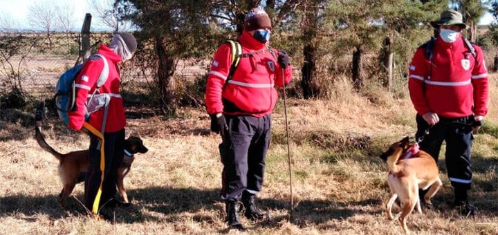 alt="en la imagen puede verse a bomberos voluntarios con perros adiestrados en una zona rural"